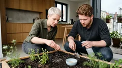 Diese 3 einjährigen Sommerblumen machen jedes Beet sofort leichter und natürlicher