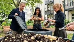 Maiskolbenstrunk im Garten: Ein Küchenrest, der Kompost und Beet wirklich verbessert