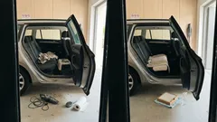 Tiergeruch im Auto: Vier Schritte, mit denen es wieder richtig frisch wird