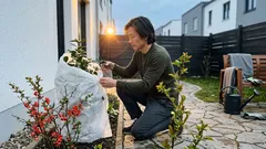 Winterharte Ziergehölze: drei blühende Sträucher, die jahrelang Freude machen