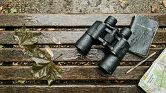 Faszination Vogelbeobachtung: Wie ein Hobby das Gehirn über Jahre verändern kann