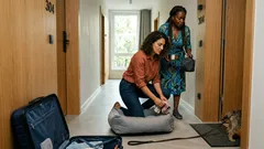 Urlaub mit Hund: warum Südkorea pet-friendly Hotels gerade neu definiert