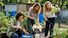 Malachitgrüner Spritzmix mit Kupfer: so schützt du Tomaten und Gurken vor Pilzkrankheiten