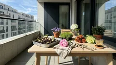 Staudenbeet ohne Rosen: So blüht dein Garten von April bis Frost