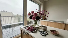 Kugelige Blüten fürs Beet: 5 robuste Pflanzen, die von Frühsommer bis Herbst Struktur geben