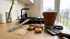 Gladiolen pflanzen: die 5 schönsten Sorten und die wichtigsten Profi-Tricks